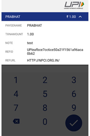 Send Money Detail Send Money Detail