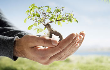 GGB Loan Against Securities - Life Insurance Policies